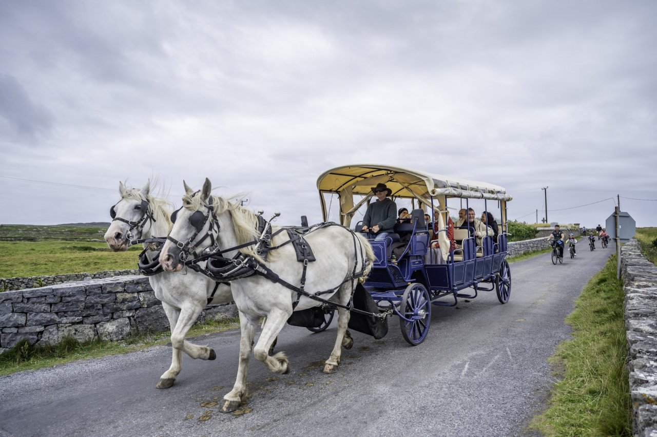 Horse and Cart Toours Inishmore